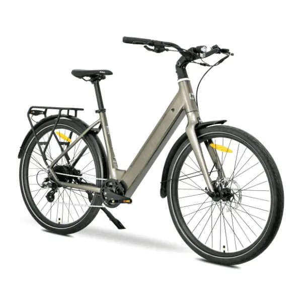 MS ENERGY eBike Zorya bronze REG električni bicikl 0