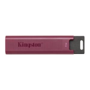 kingston-usb-flash-memorija-1tb-dtmaxa1tb-akcija-cena