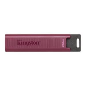 kingston-usb-flash-memorija-256gb-dtmaxa256gb-akcija-cena
