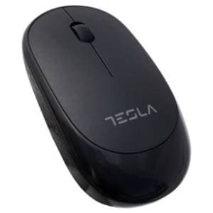 tesla-bezicni-mis-tmwo-2021-akcija-cena