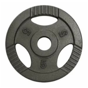 gorilla-sports-teg-od-livenog-gvozdja-5-kg-50-mm-akcija-cena