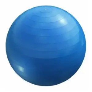 gorilla-sports-plava-lopta-za-pilates-55-cm-akcija-cena