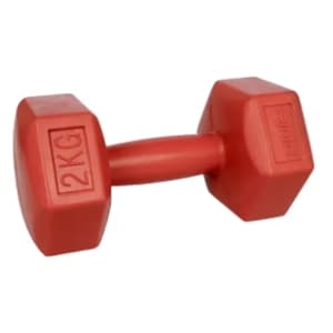 ring-rx-pd-2-2kg-bucica-akcija-cena