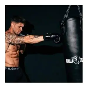 gorilla-sports-vreca-za-boks-120-cm-33-cm37-kg-akcija-cena